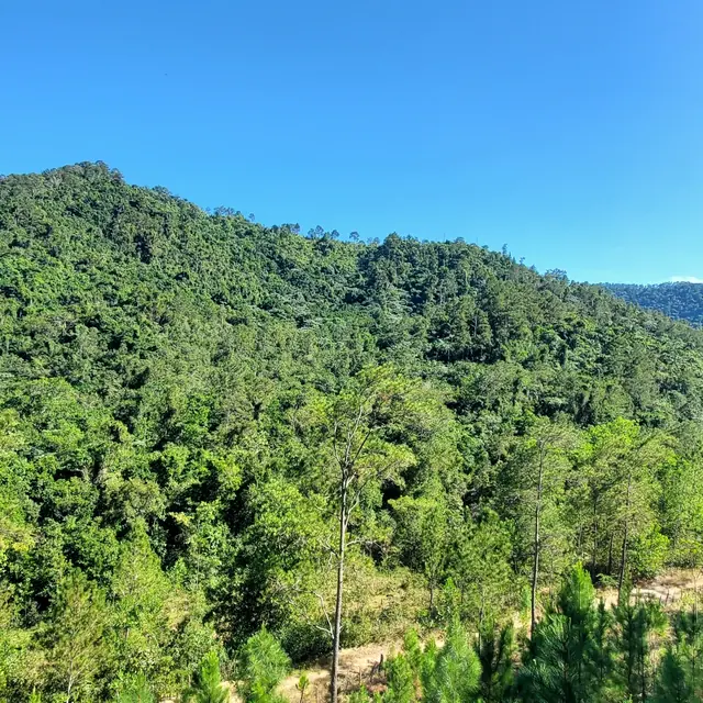 Río Chacuey – Ecoturismo y Naturaleza