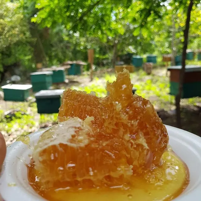 Apiario Doña Isabel – Ruta de la Miel
