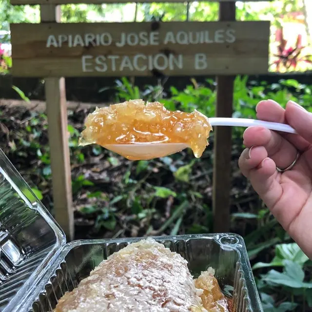 Apiario Doña Isabel – Ruta de la Miel