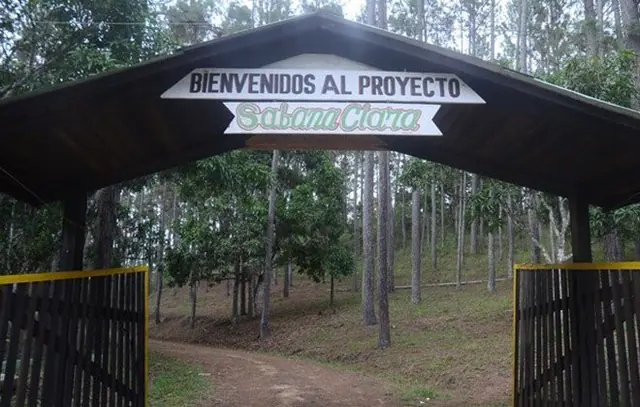 Sabana Clara