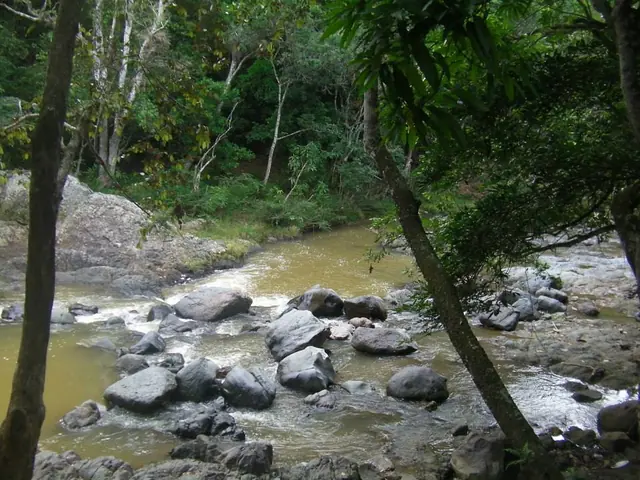 Sabana Clara
