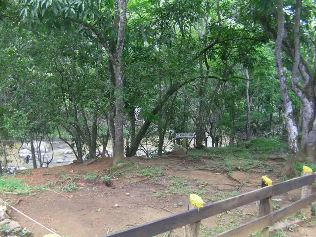 Sabana Clara